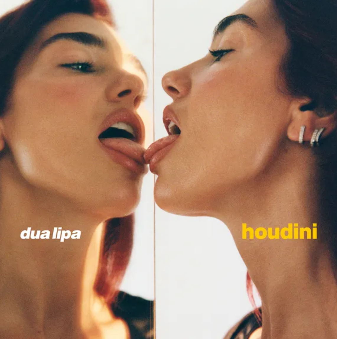 HOUDINI