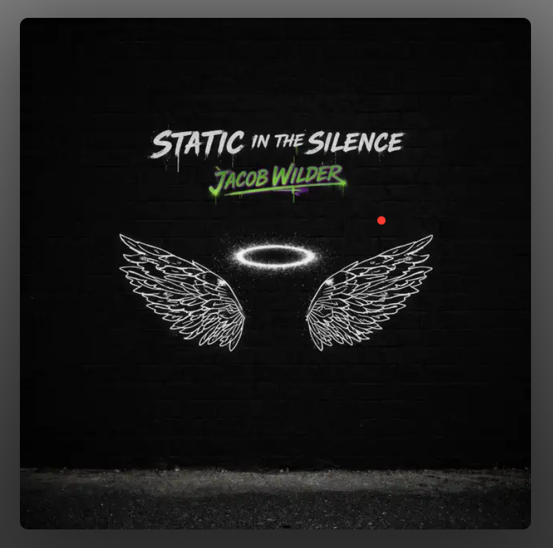 STATIC IN THE SILENCE